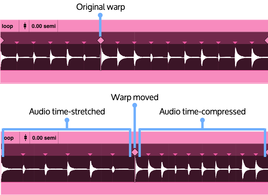 single-warp-stretch-compress.png
