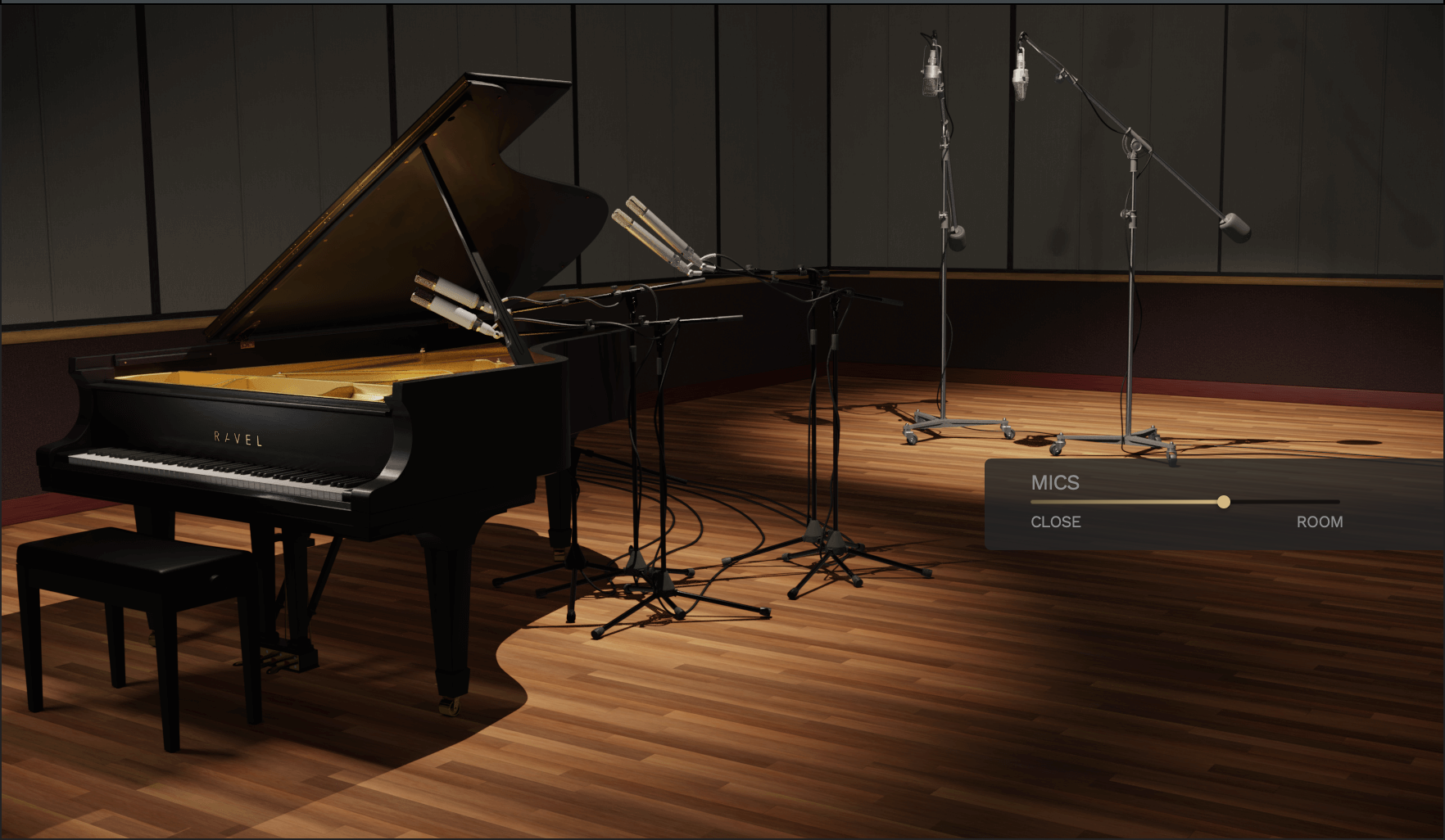 ravel-mics.png