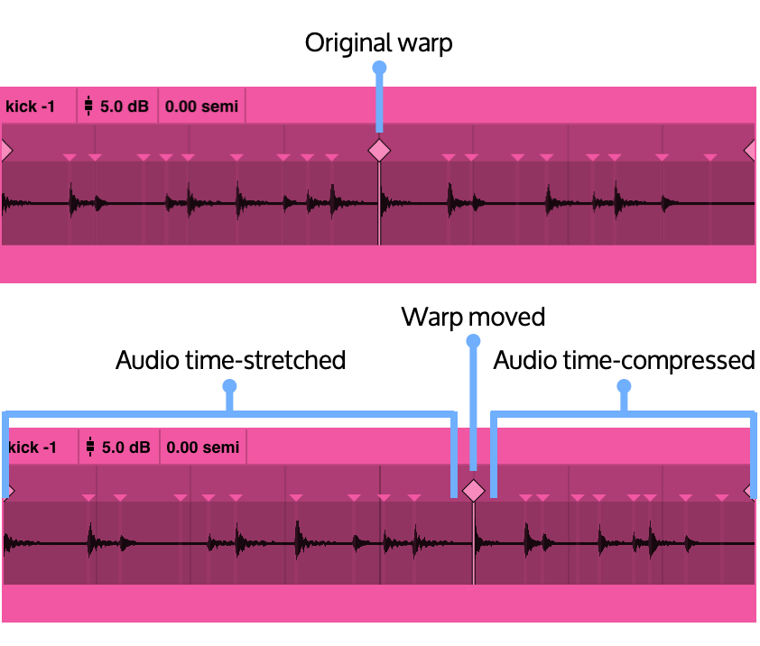 single-warp-stretch-compress.png