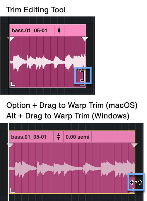 warp-trim-clip-view.png