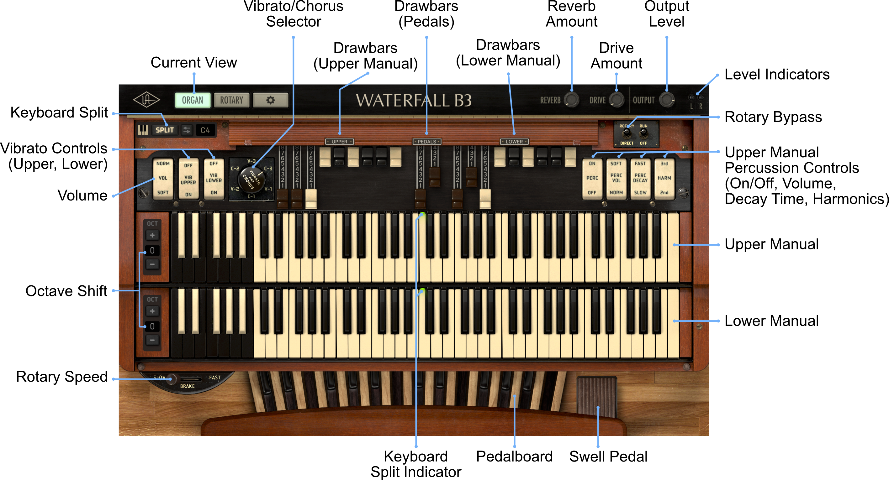 3-Organ-View-with-Callouts.png