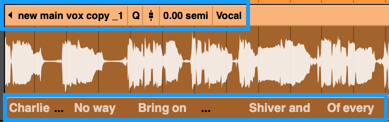 clips-show-audio-clip.png
